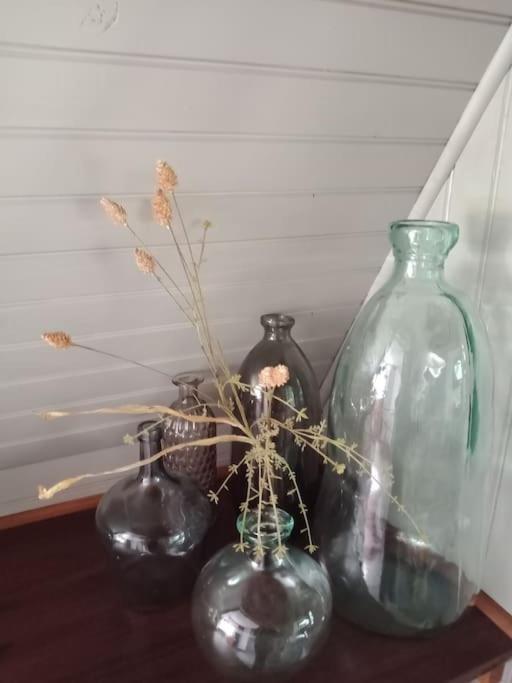 Micro Maison Isba Sedan Givonne エクステリア 写真
