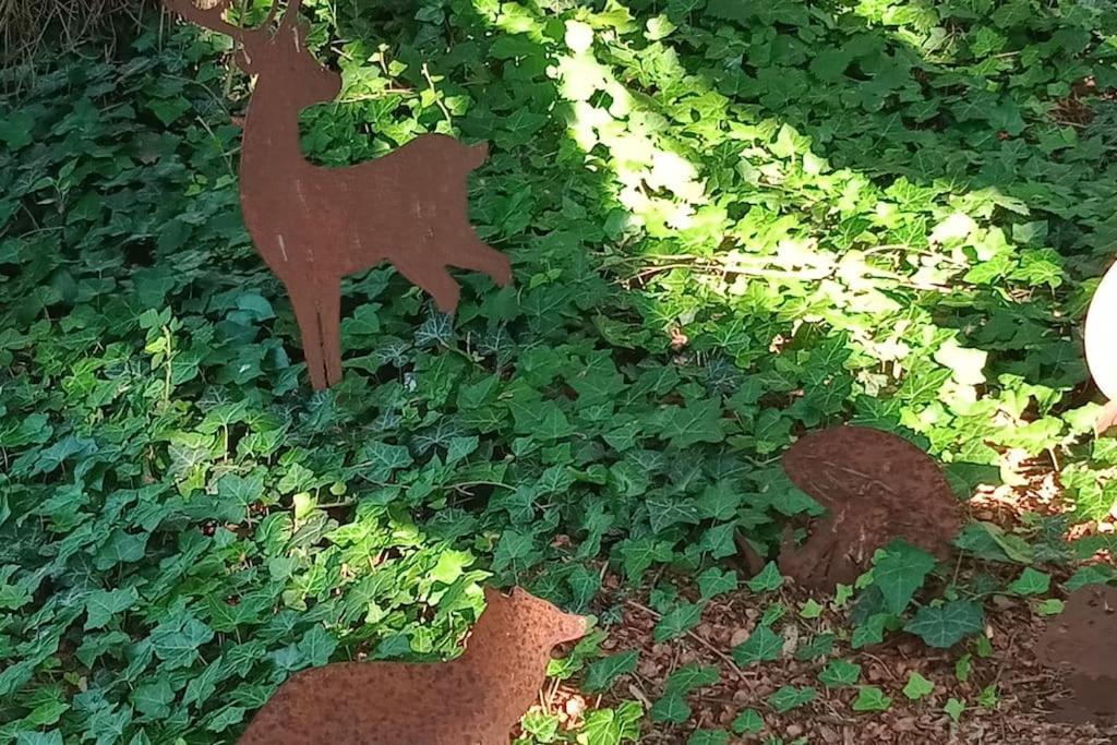 Micro Maison Isba Sedan Givonne エクステリア 写真